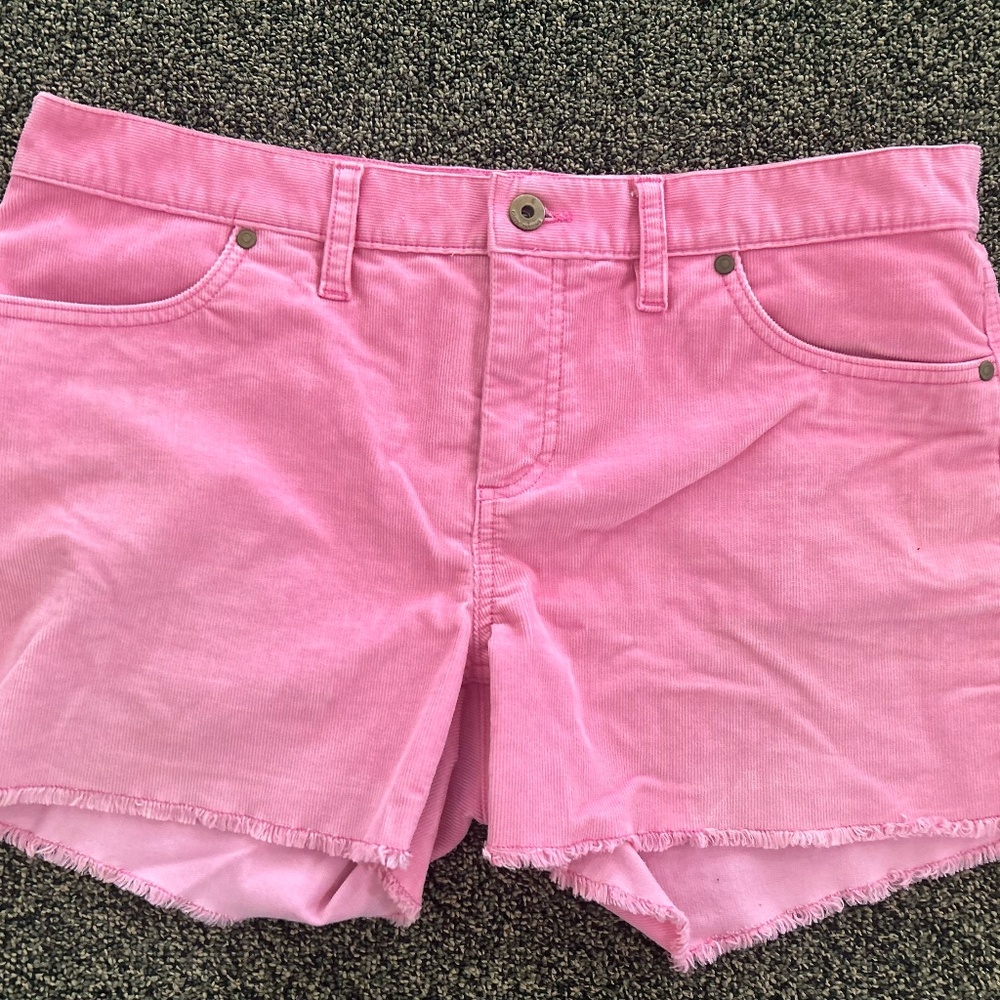 Carve Designs Dogtown 4" shorts